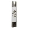 Fusvel Cermico 15a X 250v 6x30mm Com Retardo