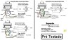 Transformador 0 - 12v 5a Trafo - 110/220v Primario Com 4fios